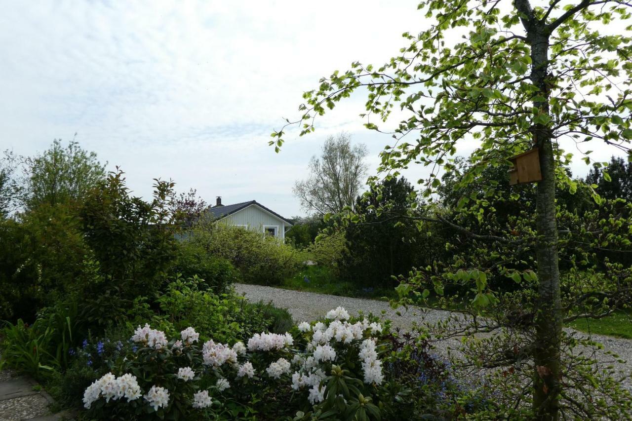 Ferienhaus-Lachmoewe Kappeln Exterior photo